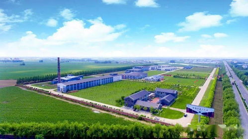 榆樹錢揭牌成立中國(guó)北方白酒新技術(shù)與新產(chǎn)品聯(lián)合研發(fā)中心，引領(lǐng)技術(shù)開發(fā)新篇章